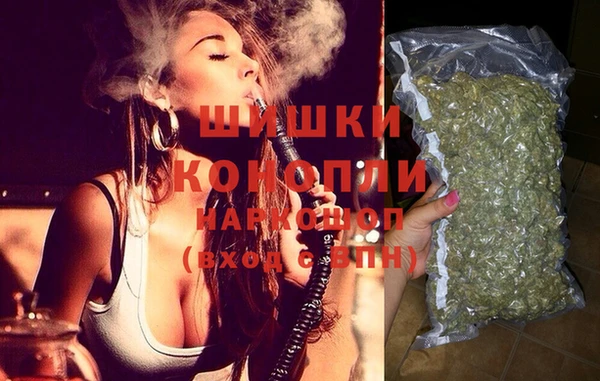 дмт Новозыбков