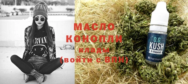 дмт Новозыбков