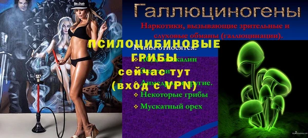 дмт Новозыбков