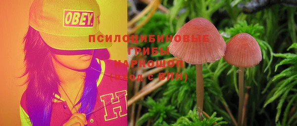 первитин Новодвинск