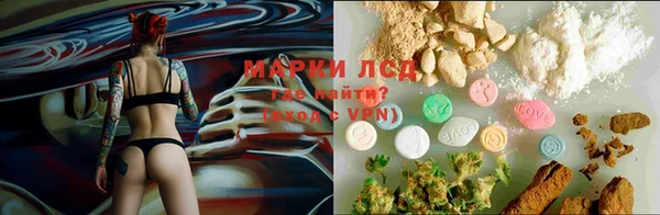 первитин Новодвинск
