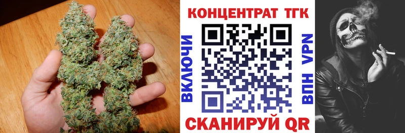 закладки  Кинель  ТГК концентрат 